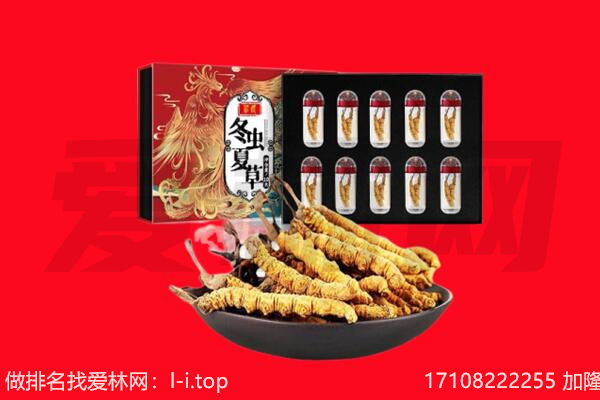 定安回收虫草.jpg